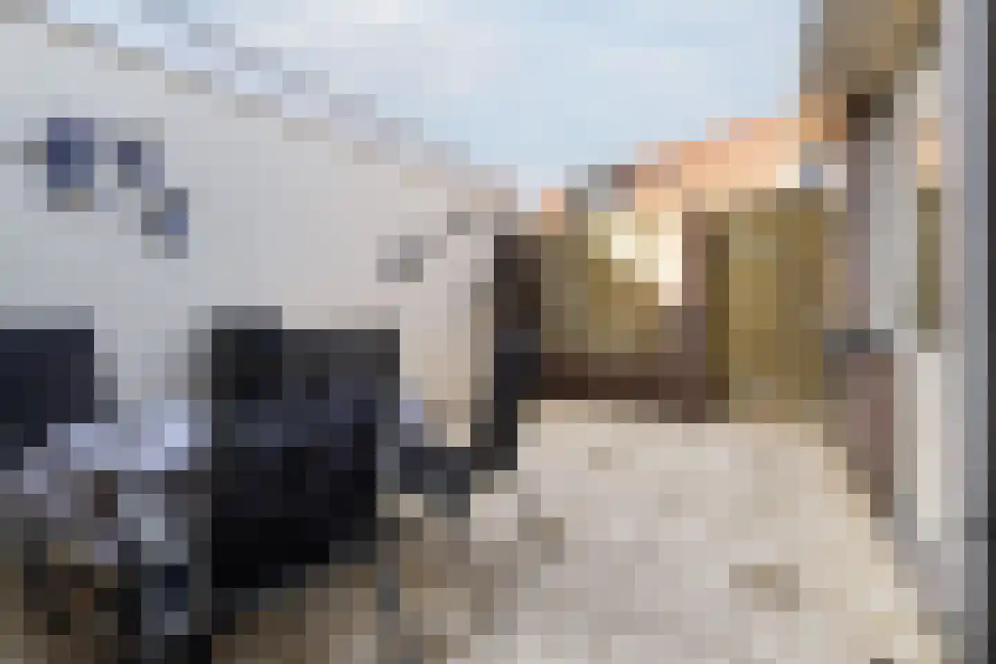 Eindhovenseweg 89 Valkenswaard thumbnail 32