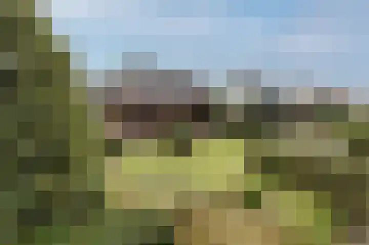 Eindhovenseweg 94 Geldrop thumbnail 39