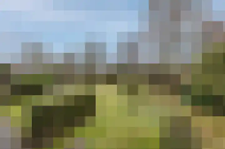 Eindhovenseweg 94 Geldrop thumbnail 40