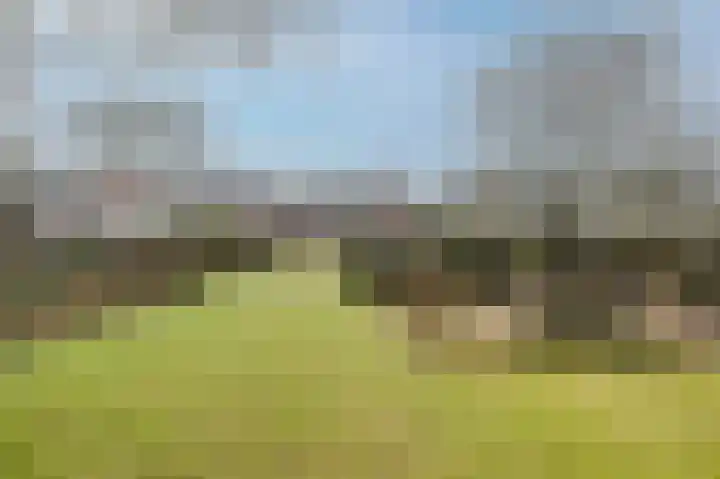 Eindhovenseweg 94 Geldrop thumbnail 41