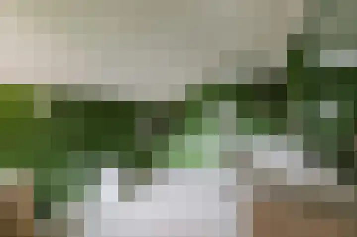 Eindhovenseweg 94 Geldrop thumbnail 6