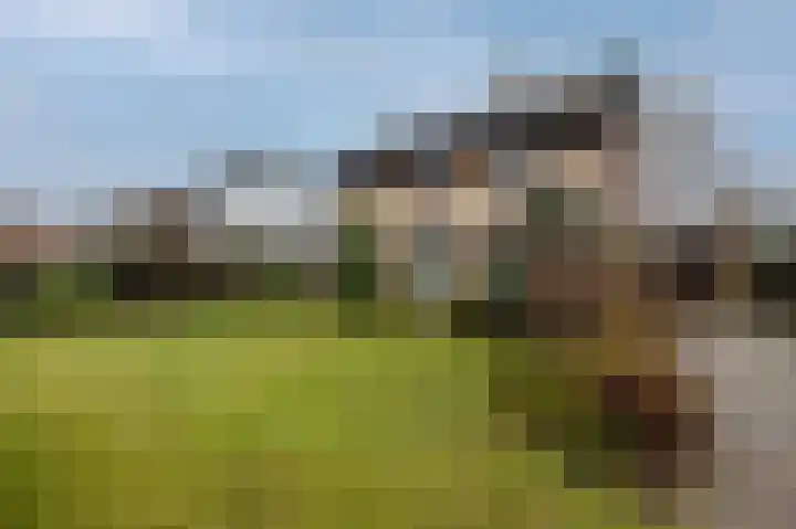 Eindhovenseweg 94 Geldrop thumbnail 7