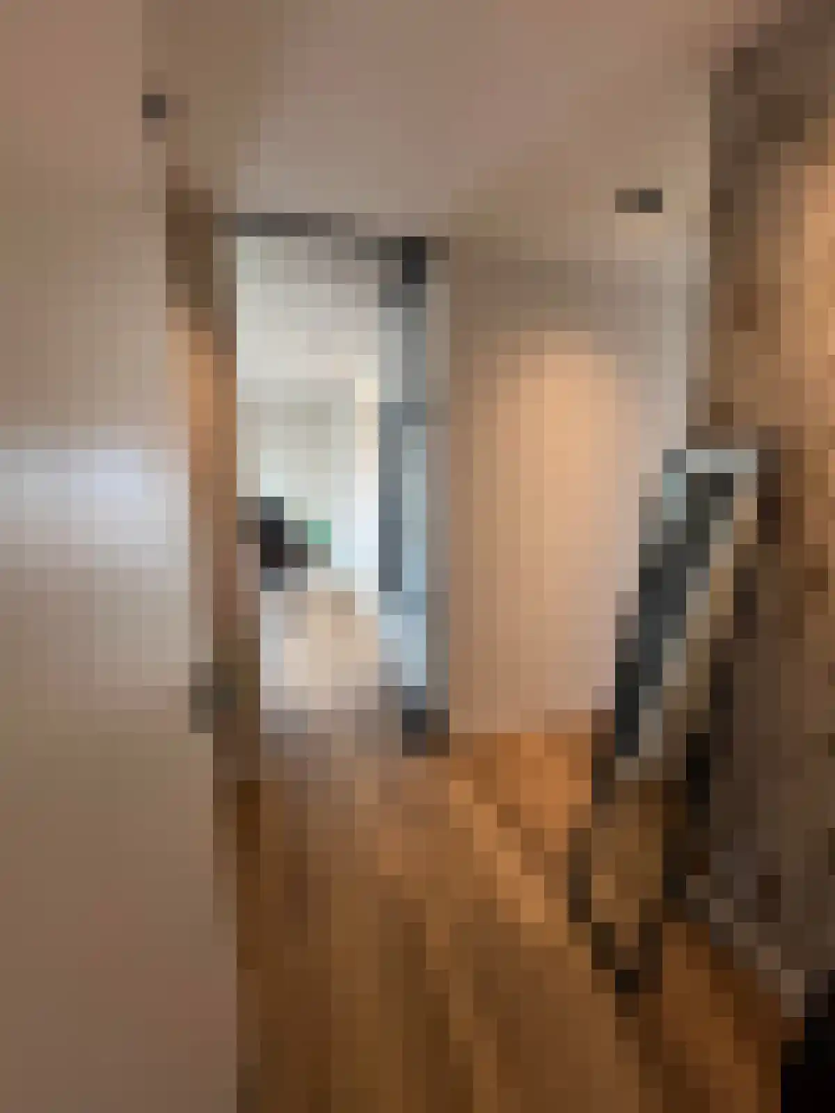 Eindhovenseweg Waalre thumbnail 4