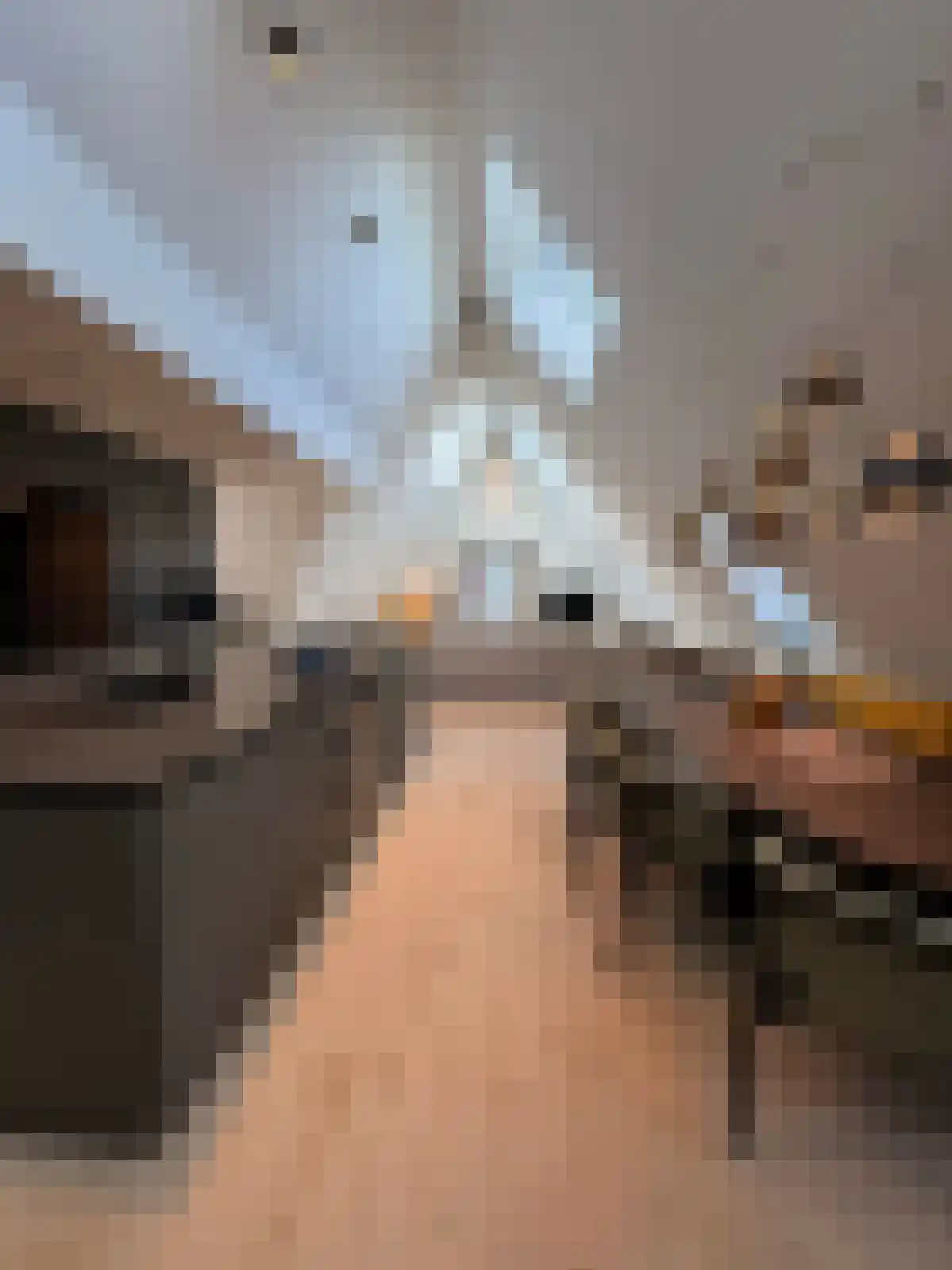 Eindhovenseweg Waalre thumbnail 4