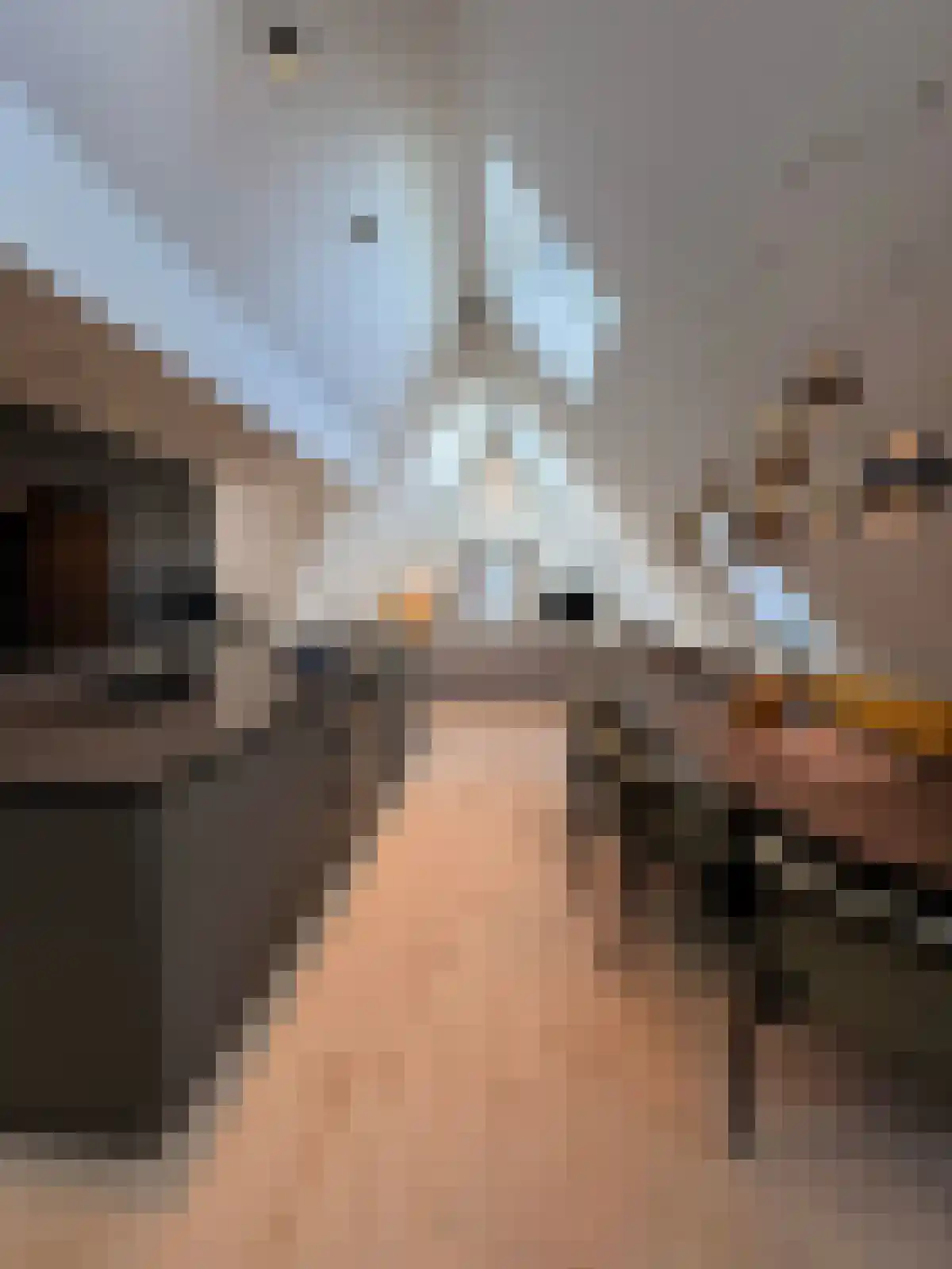 Eindhovenseweg Waalre thumbnail 4