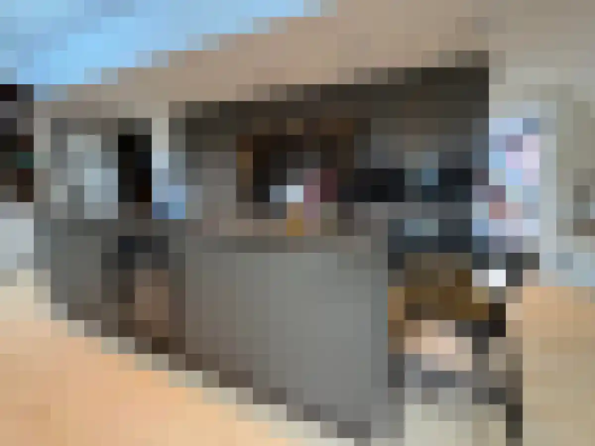 Eindhovenseweg Waalre thumbnail 5