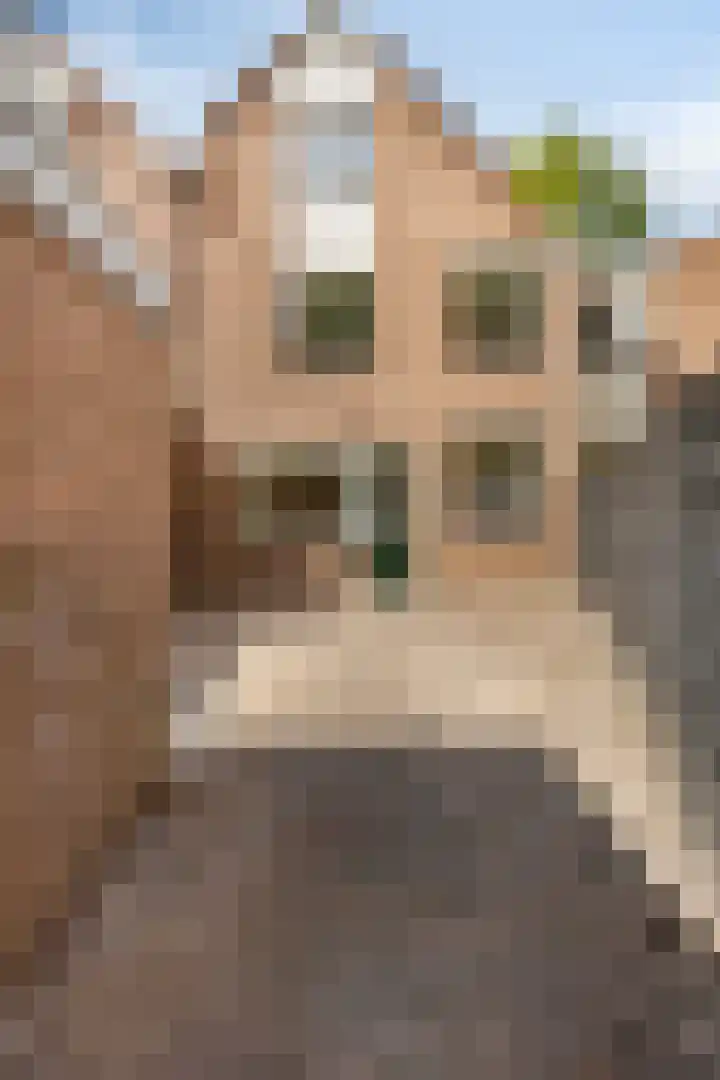 Eindhovensingel 136 Arnhem thumbnail 36