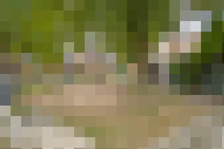 Eindhovensingel 136 Arnhem thumbnail 37