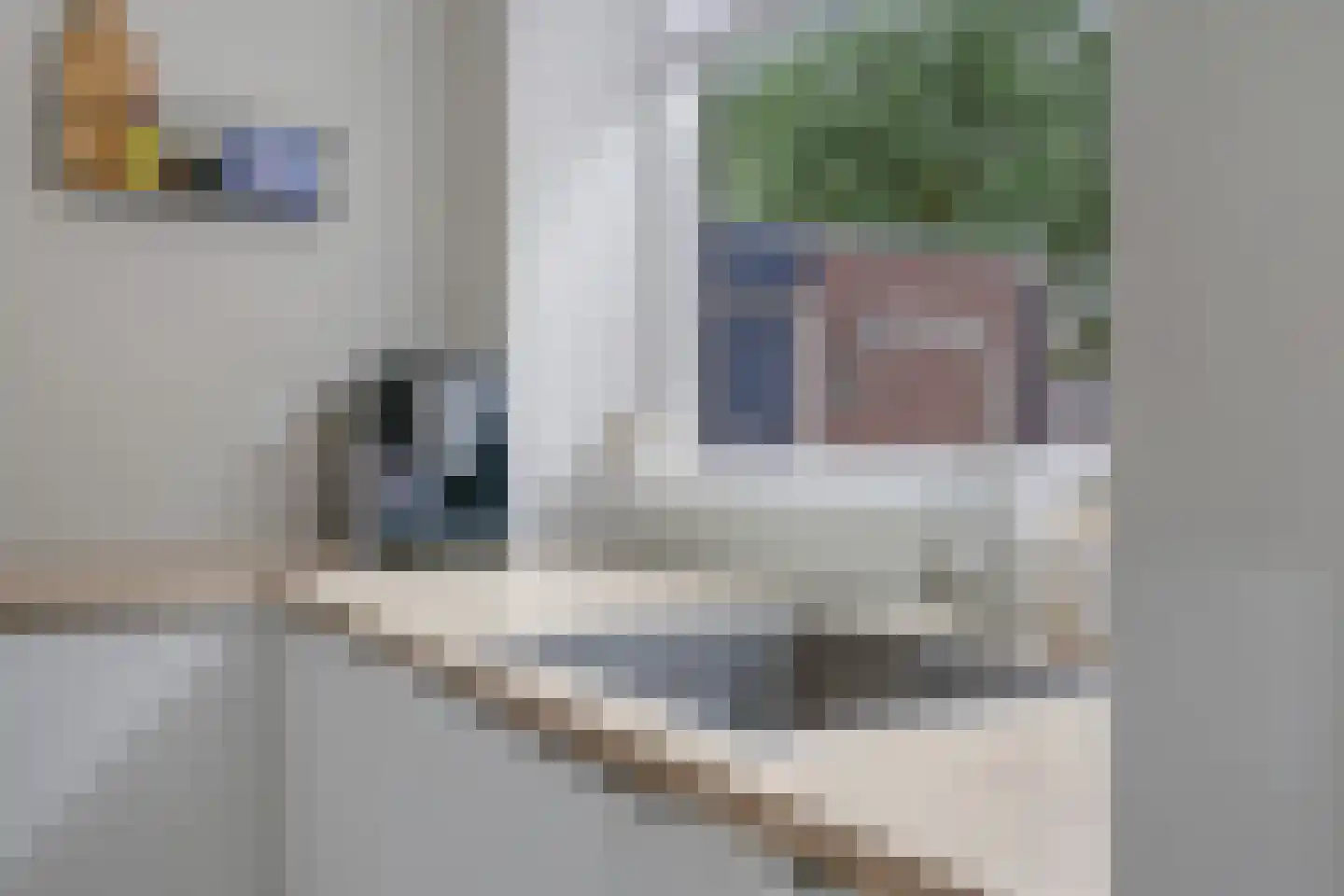 Eindhovensingel 266 Arnhem thumbnail 18