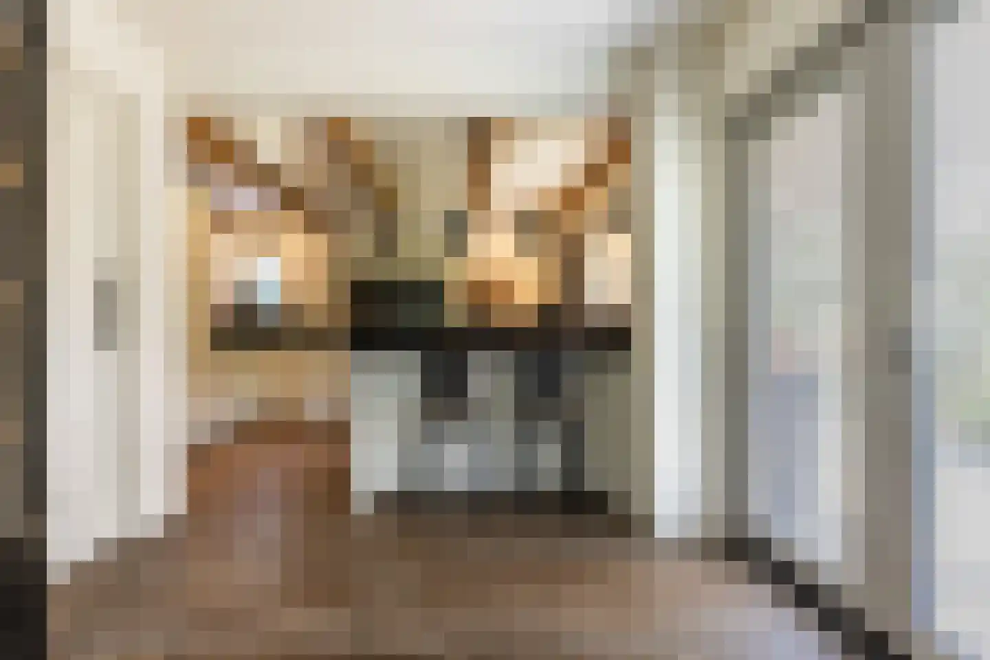 Eindhovensingel 5 Arnhem thumbnail 16
