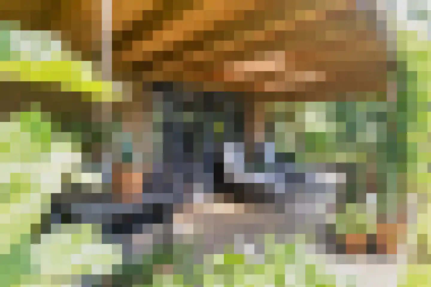 Eindhovensingel 5 Arnhem thumbnail 31