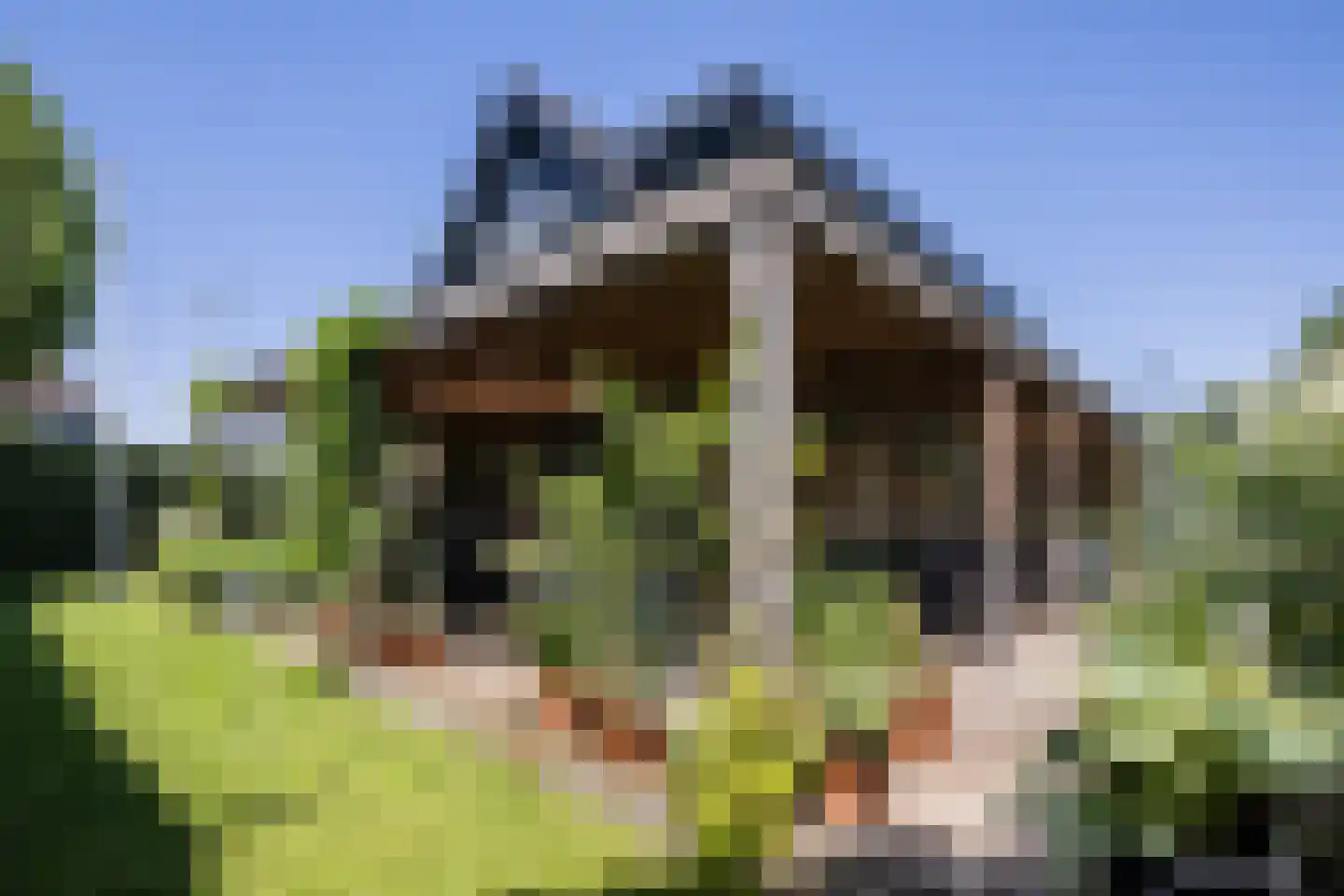 Eindhovensingel 5 Arnhem thumbnail 33