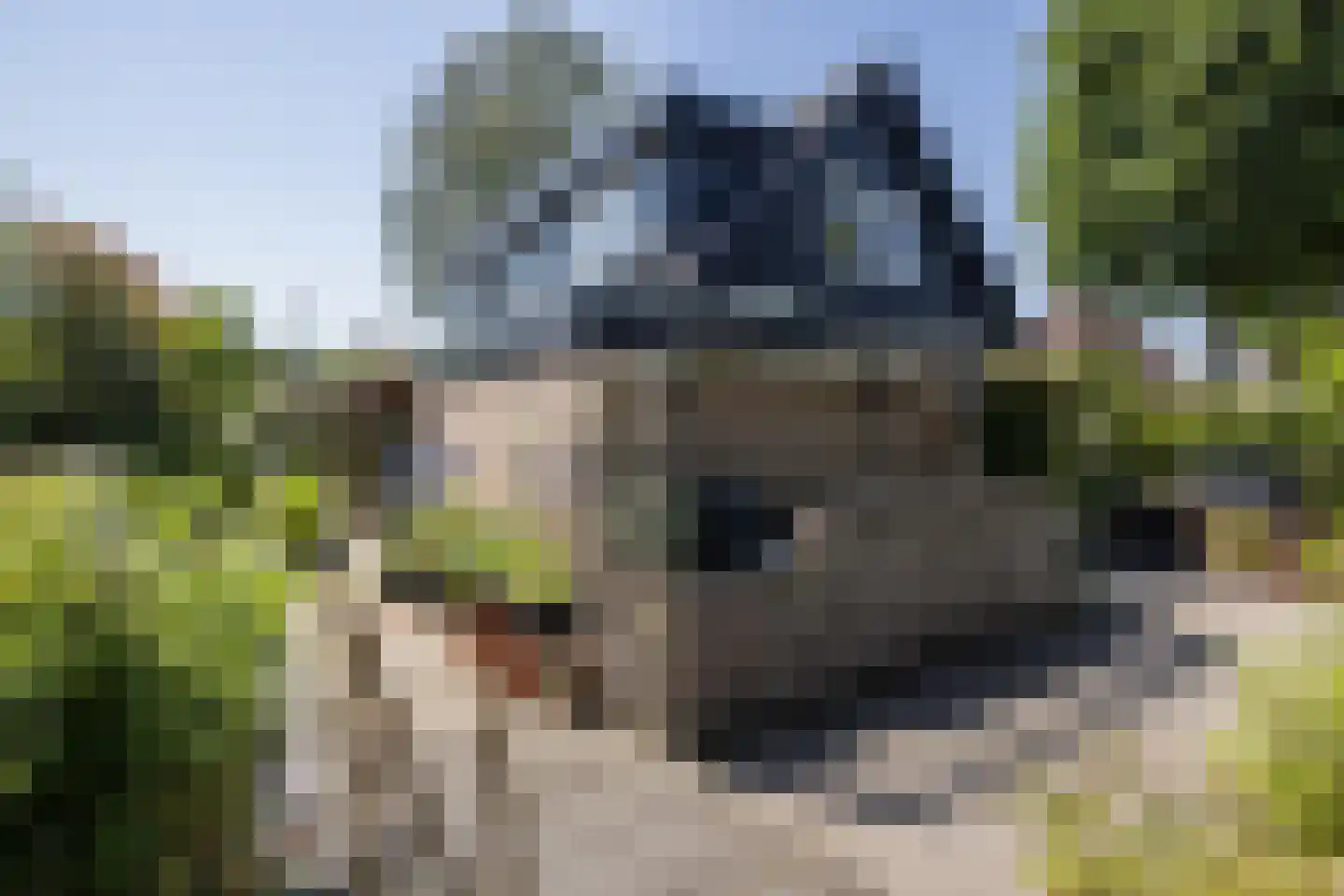 Eindhovensingel 5 Arnhem thumbnail 35