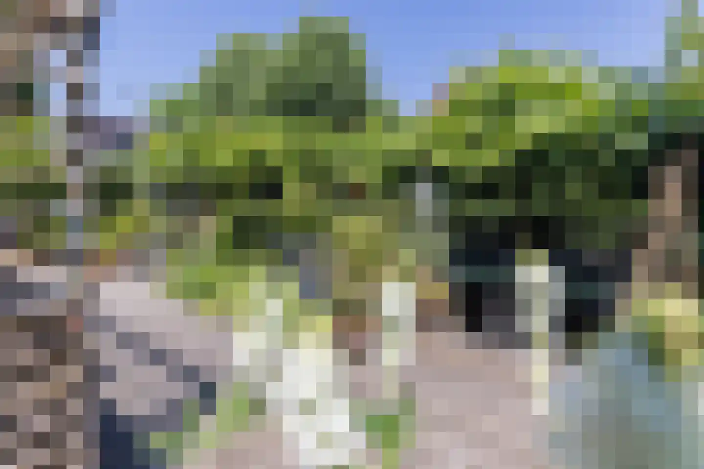 Eindhovensingel 5 Arnhem thumbnail 40
