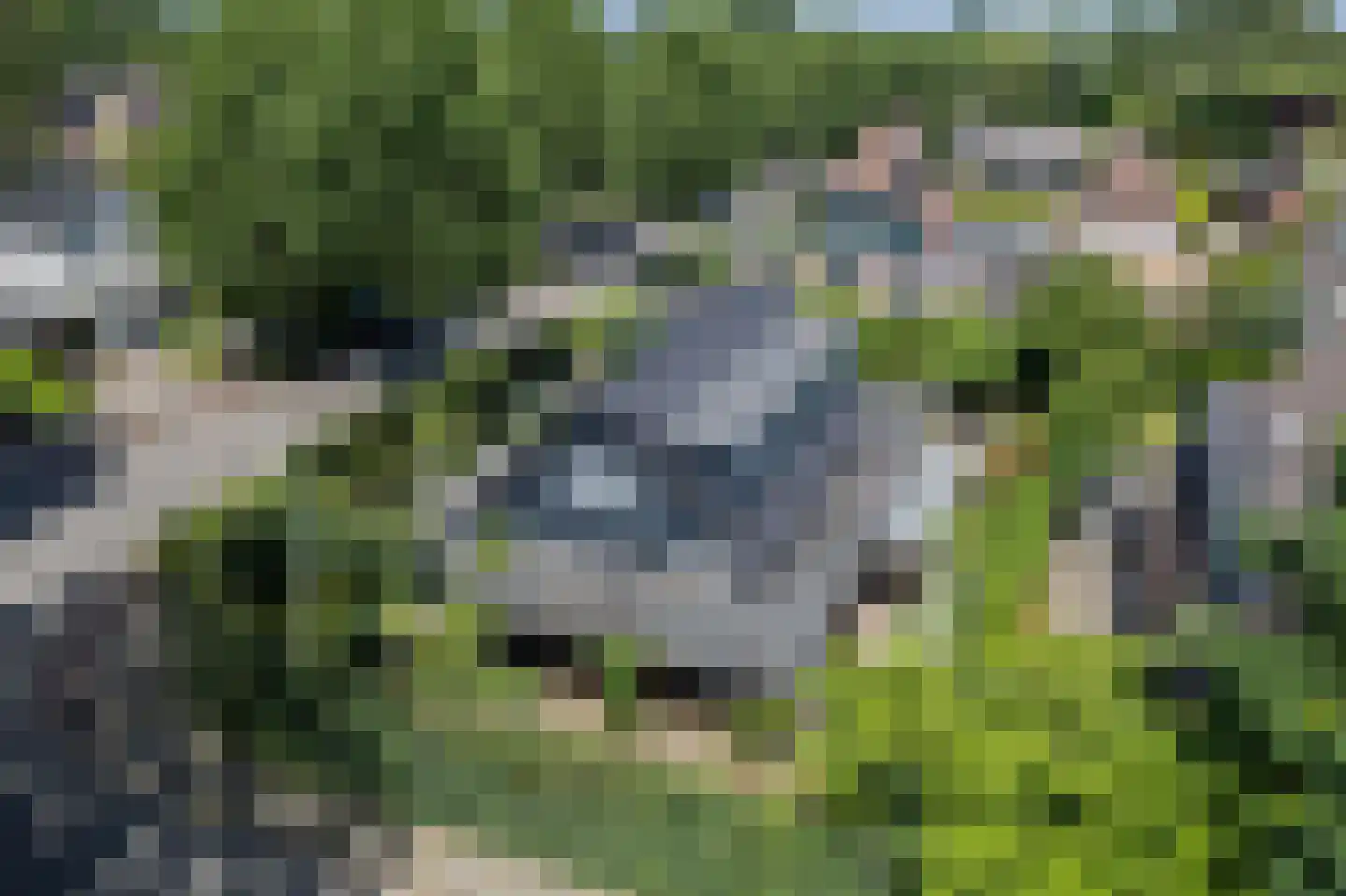 Eindhovensingel 5 Arnhem thumbnail 45