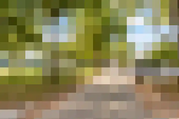 Eindhovenstraat 55 Almere thumbnail 38