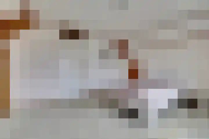 Eindje de Rondte 75 Kruiningen thumbnail 18