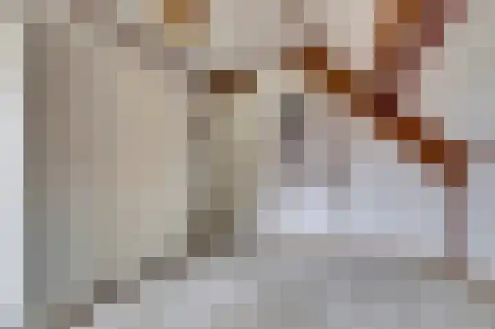 Eindje de Rondte 75 Kruiningen thumbnail 21