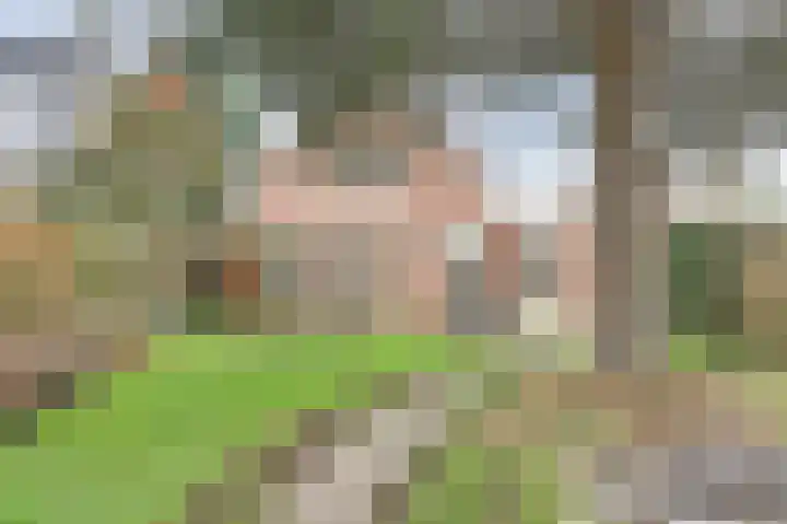 Eindje de Rondte 75 Kruiningen thumbnail 28