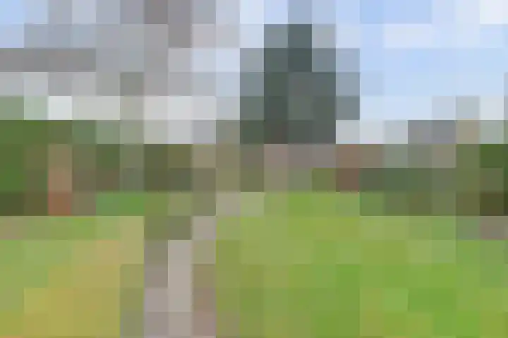 Eindje de Rondte 75 Kruiningen thumbnail 29