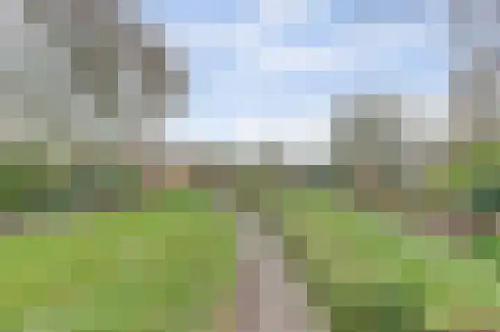 Eindje de Rondte 75 Kruiningen thumbnail 30