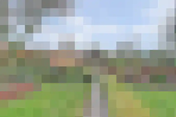 Eindje de Rondte 75 Kruiningen thumbnail 31