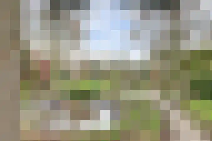 Eindje de Rondte 75 Kruiningen thumbnail 32
