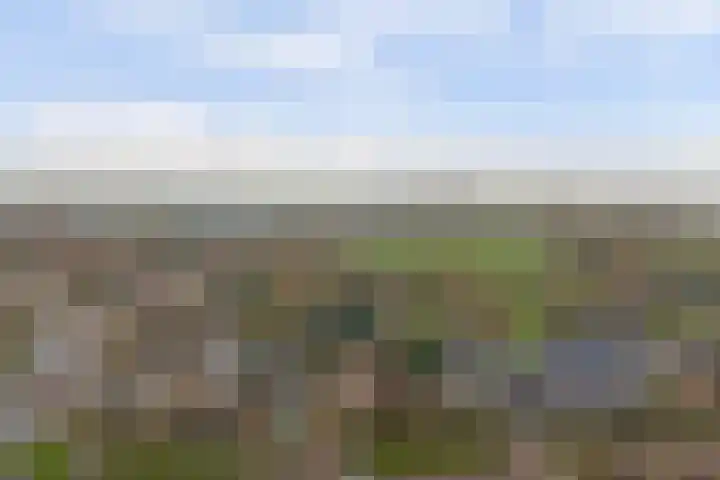 Eindje de Rondte 75 Kruiningen thumbnail 34