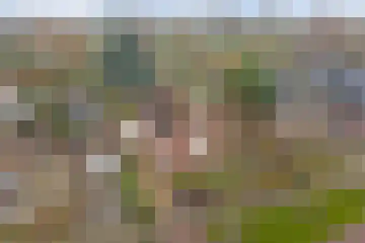 Eindje de Rondte 75 Kruiningen thumbnail 35