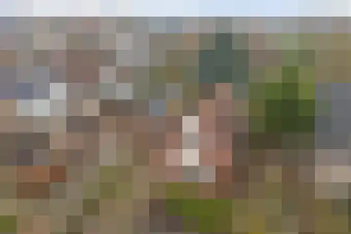 Eindje de Rondte 75 Kruiningen thumbnail 36