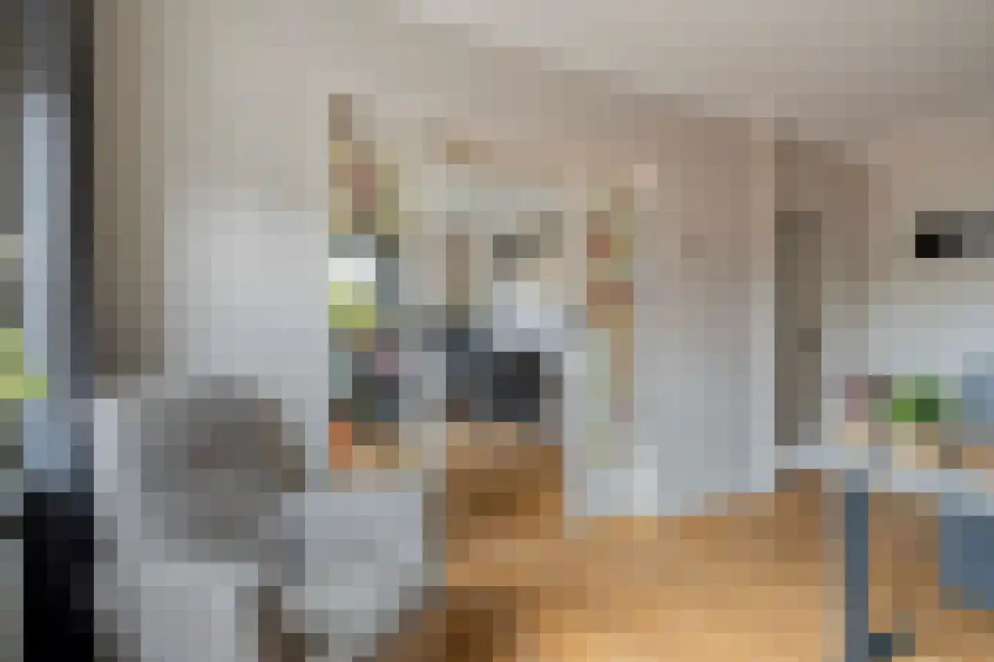 Eindsestraat 11 Dongen thumbnail 19