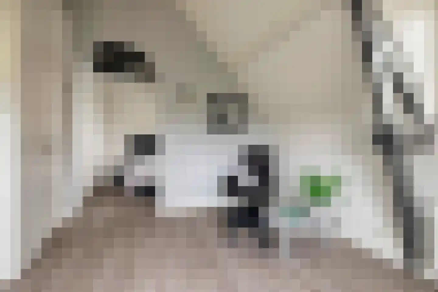 Eindsestraat 11 Dongen thumbnail 23