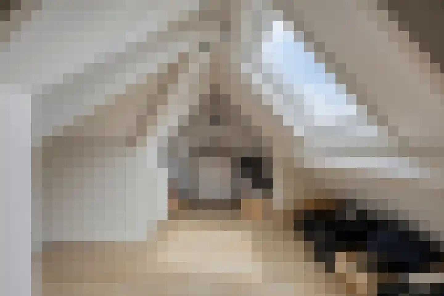 Eindsestraat 11 Dongen thumbnail 29
