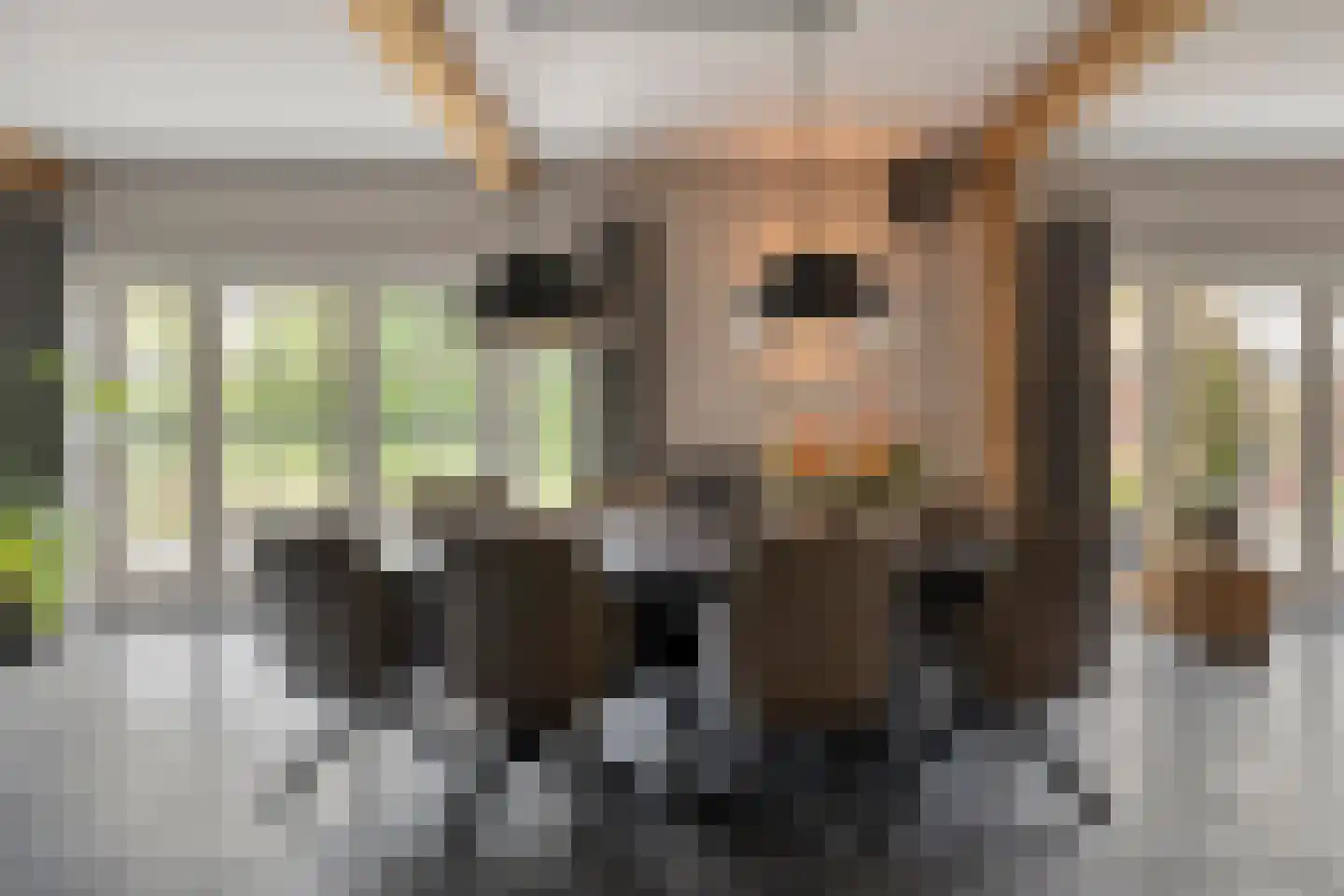 Eindsestraat 11 Dongen thumbnail 34