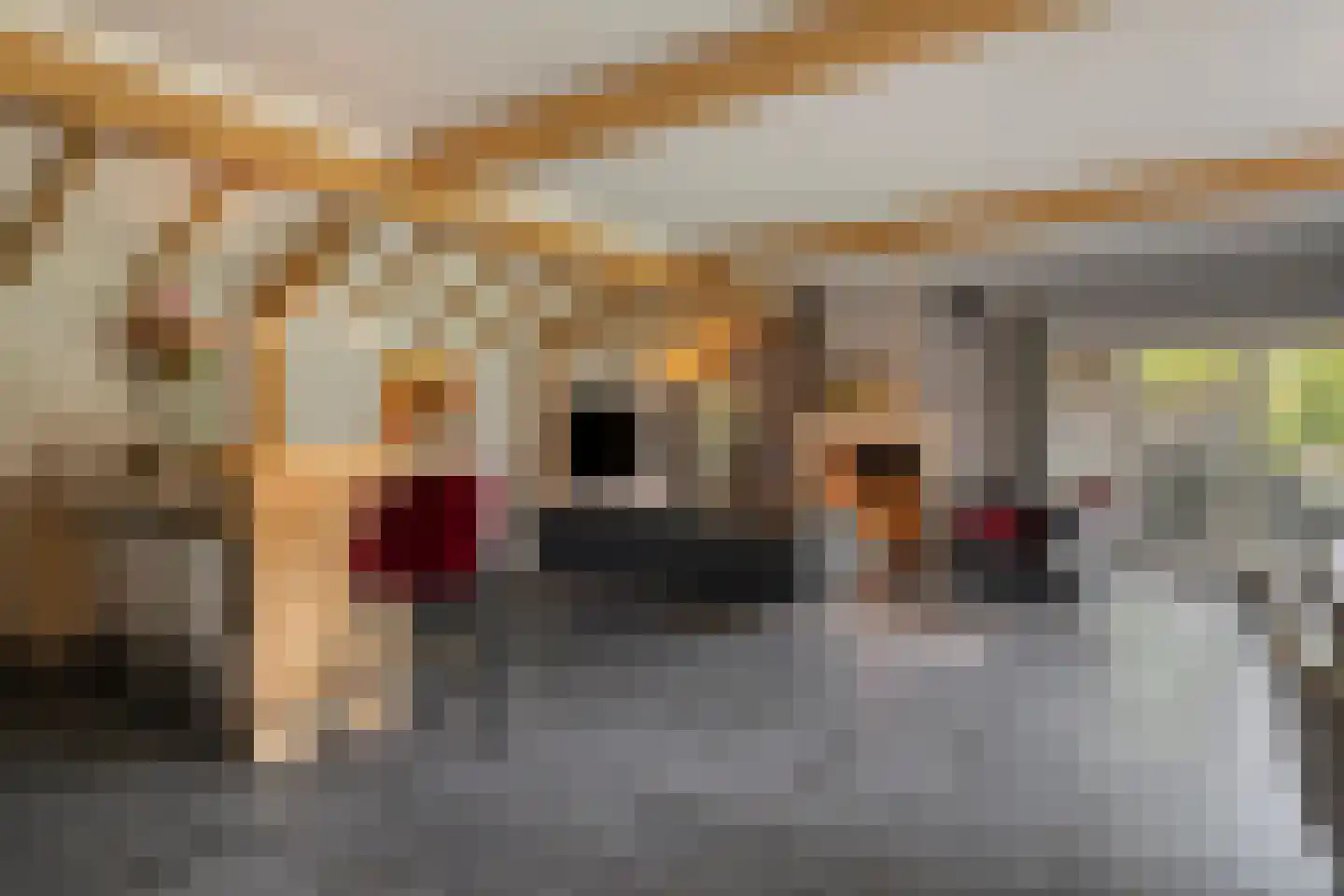 Eindsestraat 11 Dongen thumbnail 35