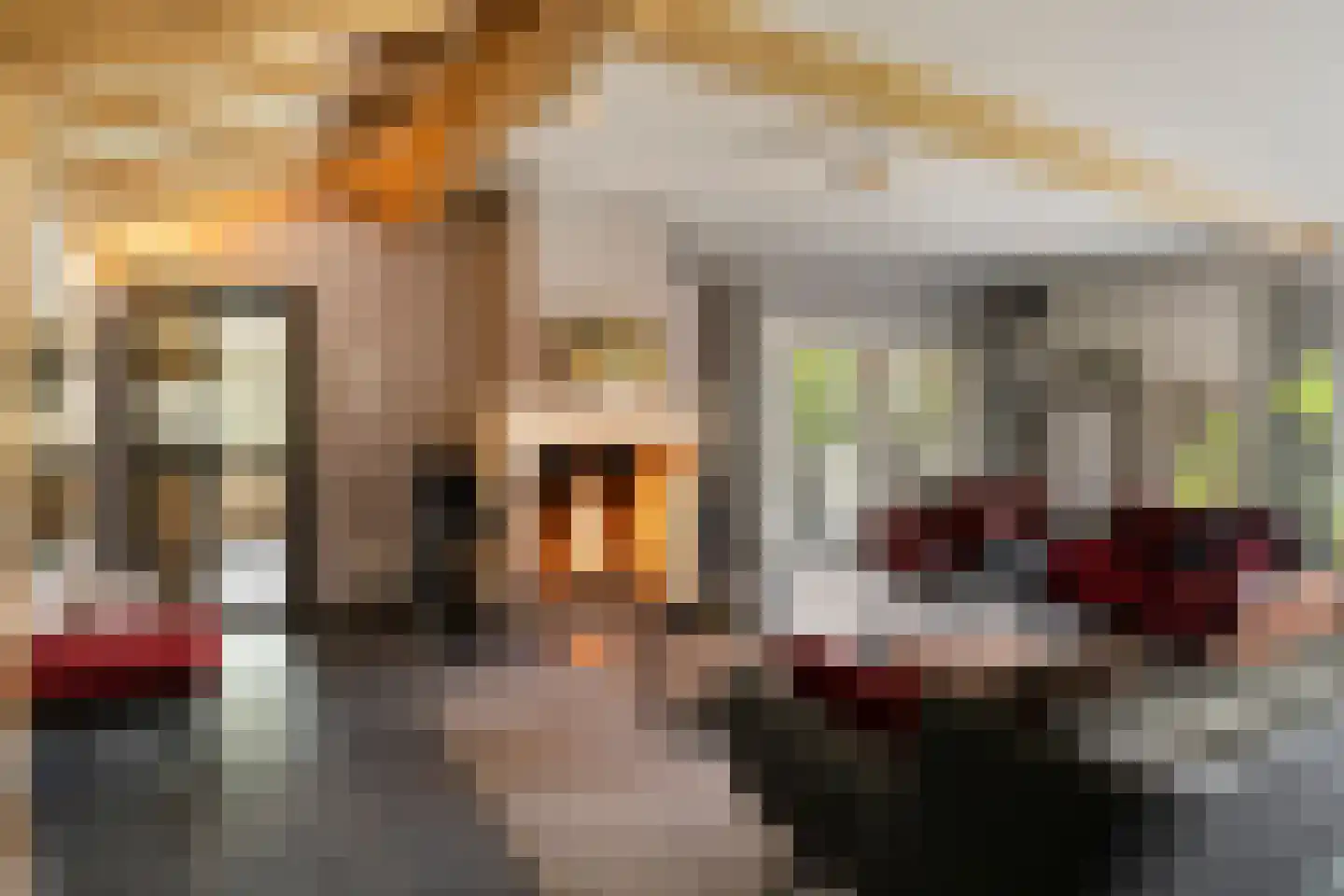Eindsestraat 11 Dongen thumbnail 36