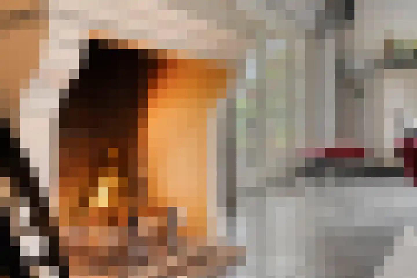Eindsestraat 11 Dongen thumbnail 42