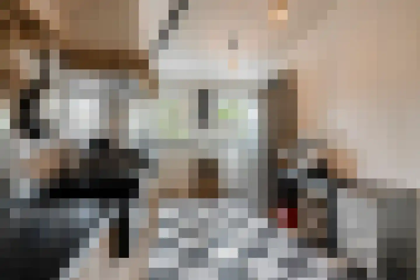 Eindsestraat 11 Dongen thumbnail 43