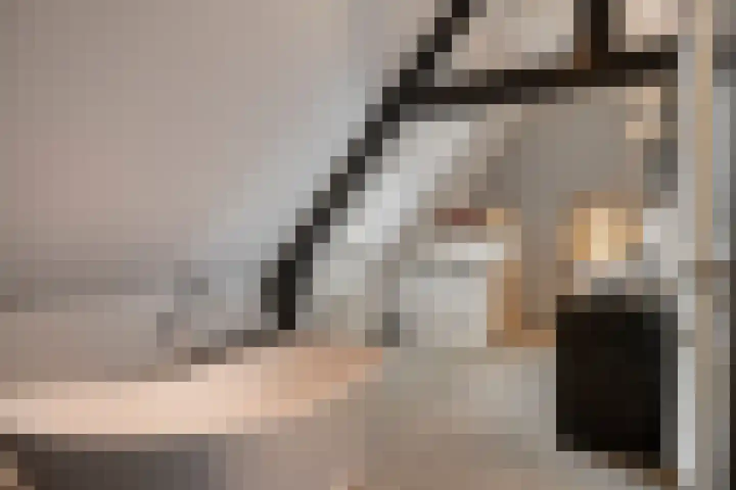 Eindsestraat 11 Dongen thumbnail 48
