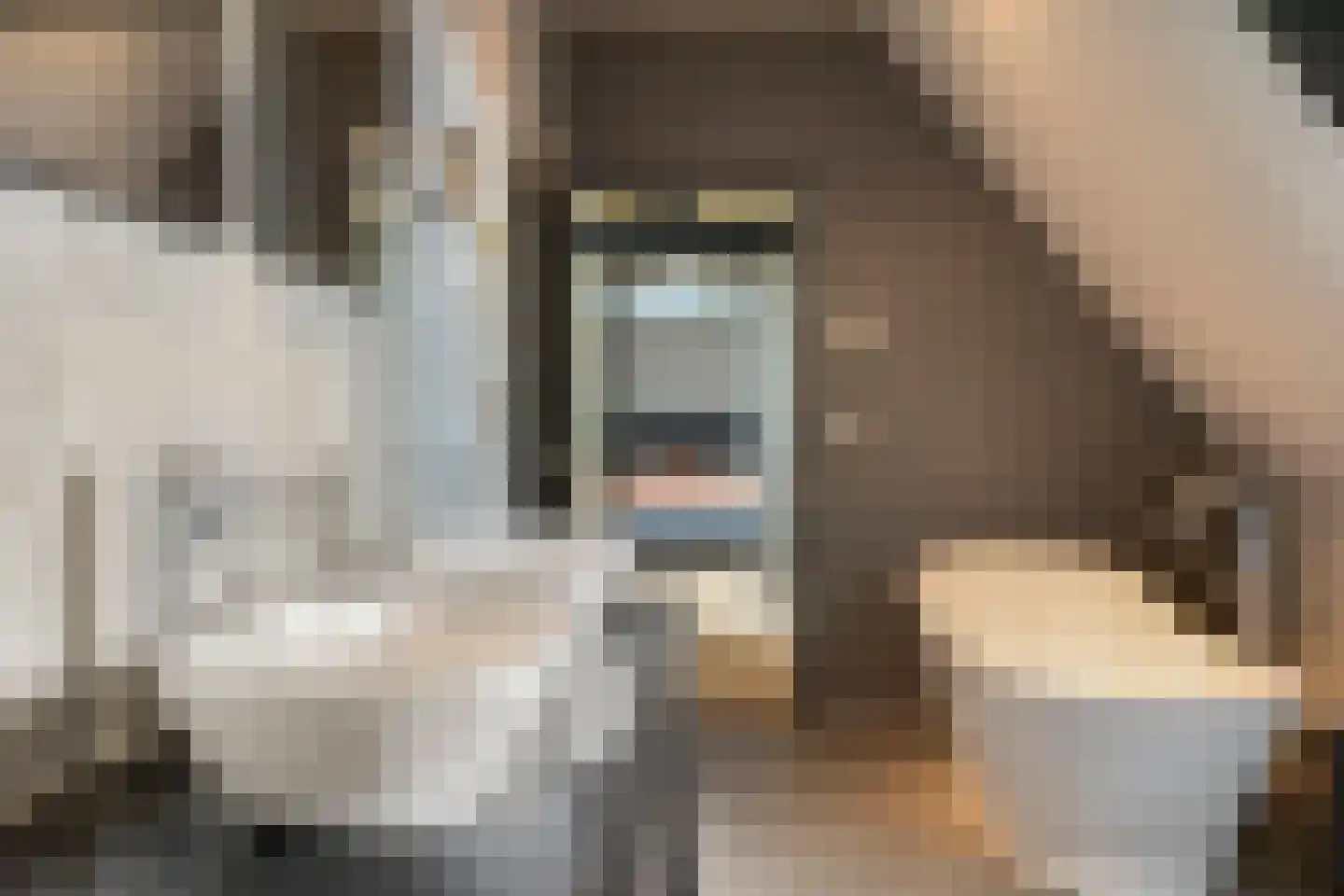 Eindsestraat 11 Dongen thumbnail 50