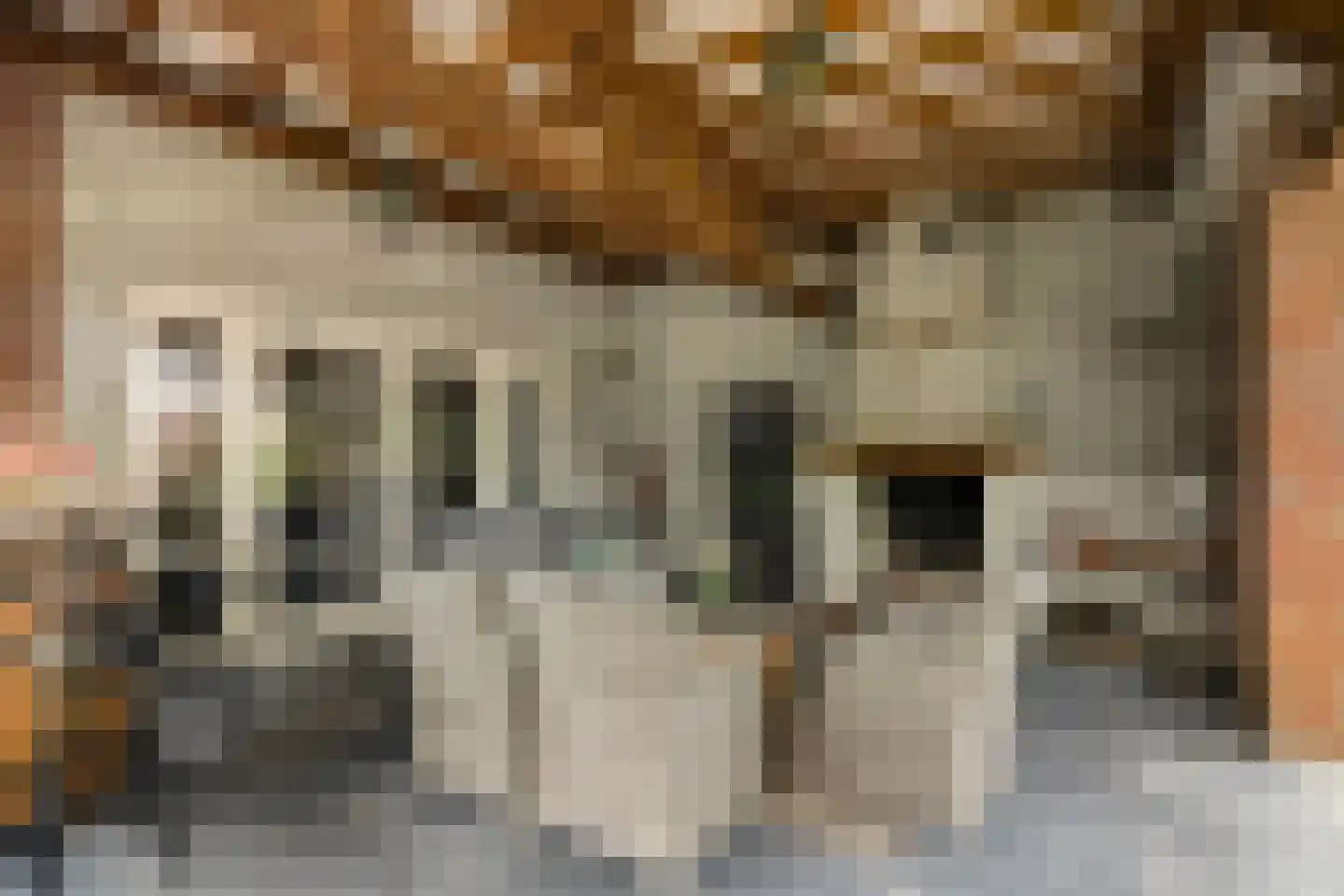 Eindsestraat 11 Dongen thumbnail 61
