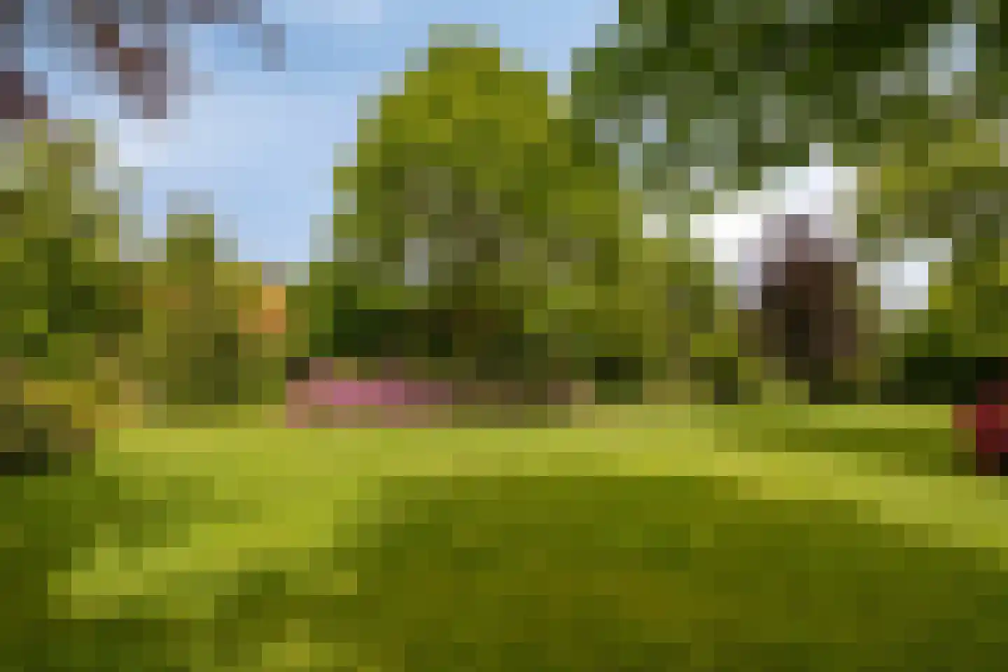 Eindsestraat 11 Dongen thumbnail 68