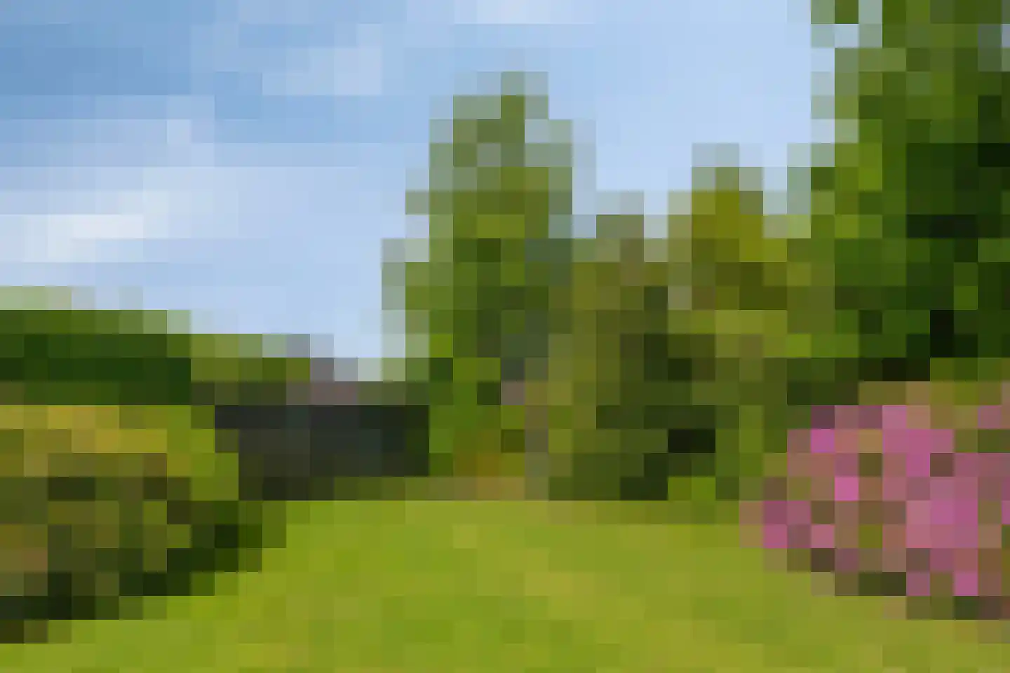 Eindsestraat 11 Dongen thumbnail 70