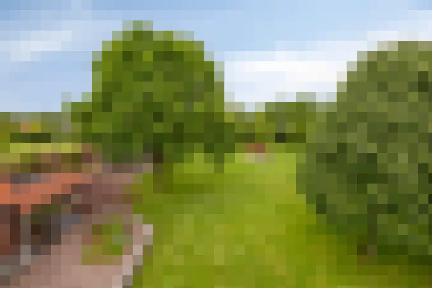 Eindsestraat 11 Dongen thumbnail 75
