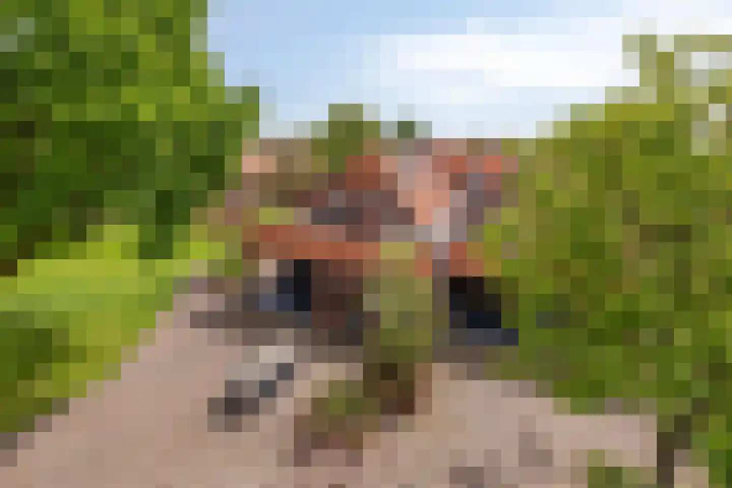 Eindsestraat 11 Dongen thumbnail 78