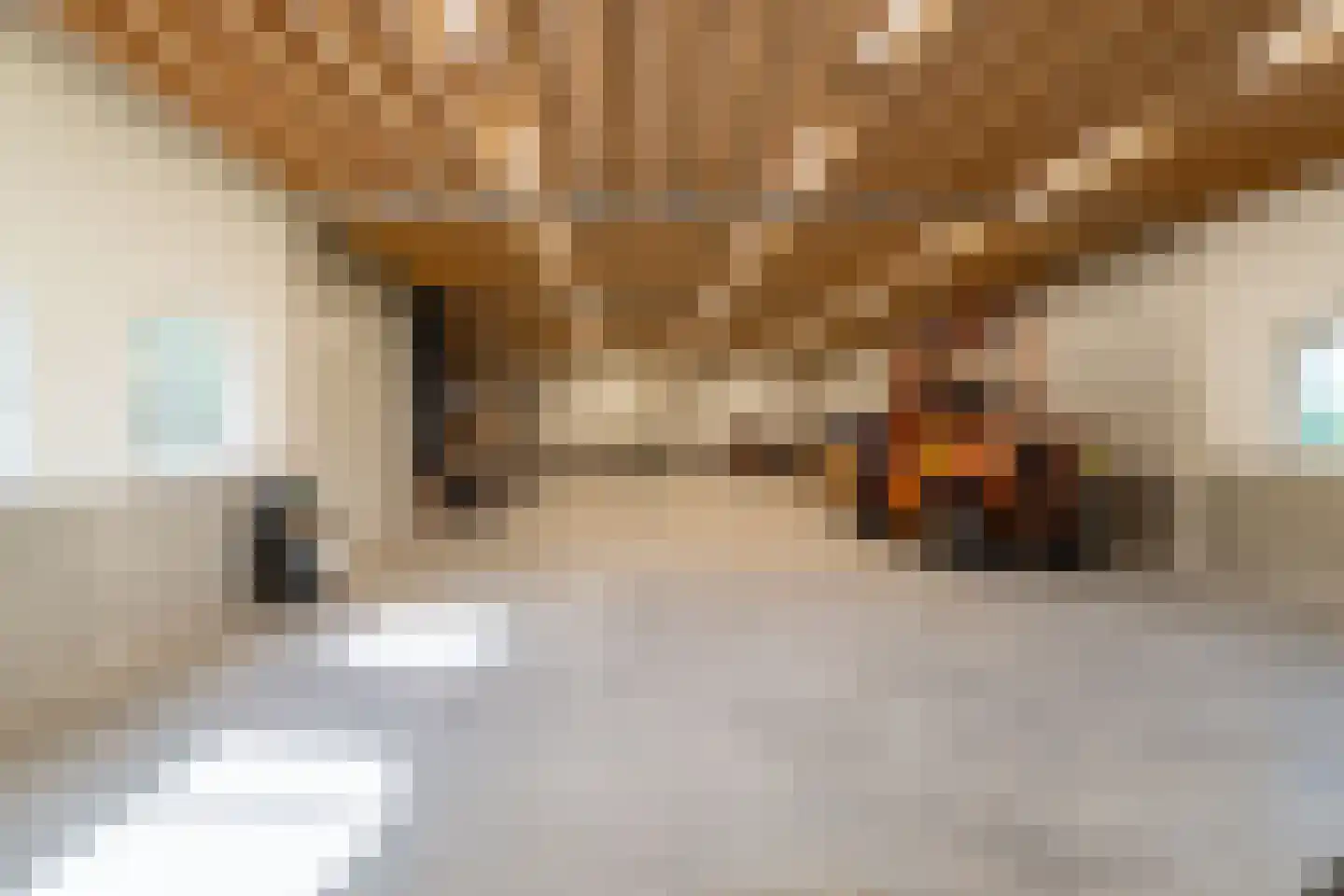 Eindsestraat 27 Drongelen thumbnail 10