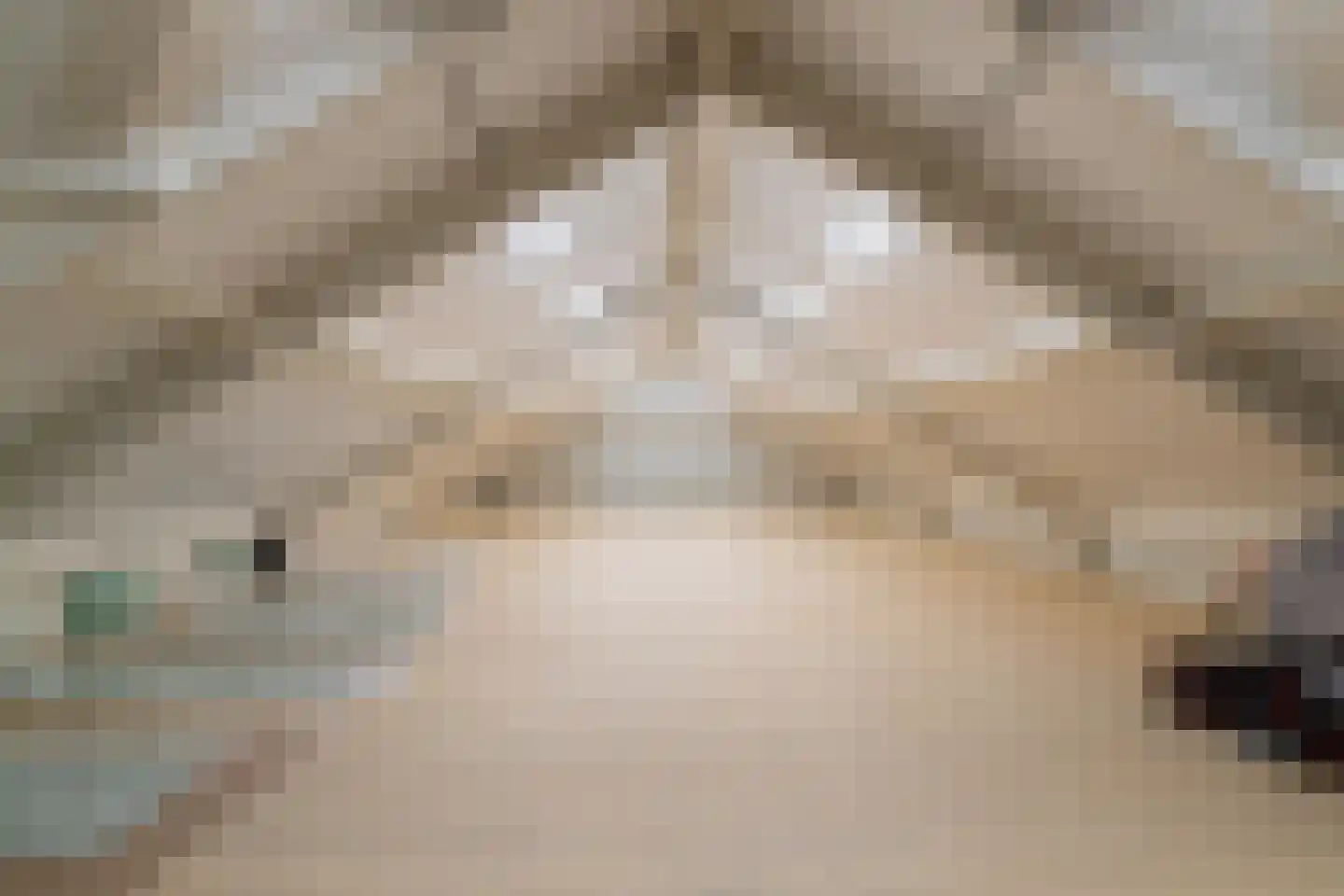 Eindsestraat 27 Drongelen thumbnail 13