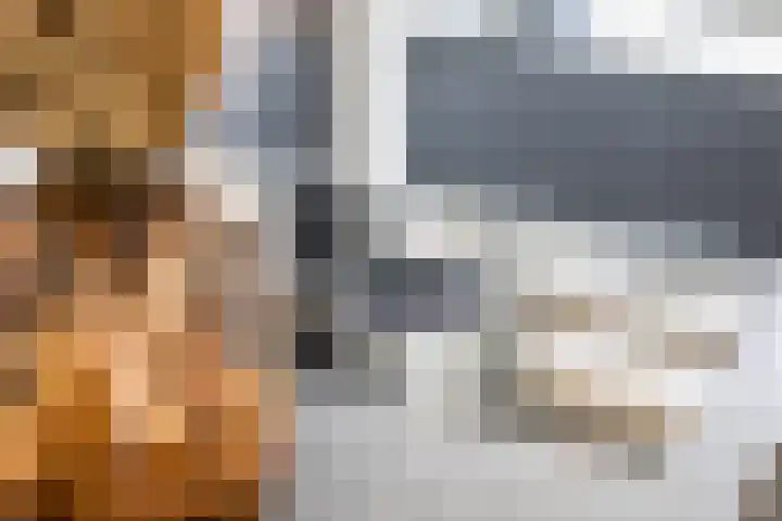 Eindsestraat 29 Dongen thumbnail 14
