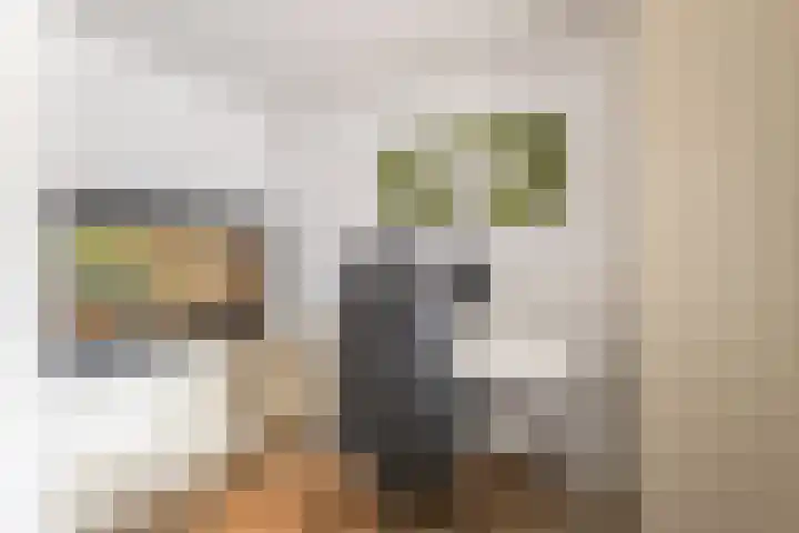 Eindsestraat 29 Dongen thumbnail 17
