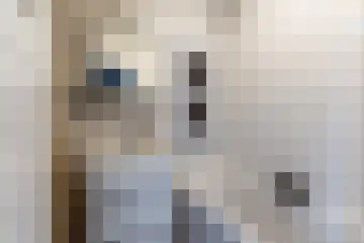 Eindsestraat 29 Dongen thumbnail 21